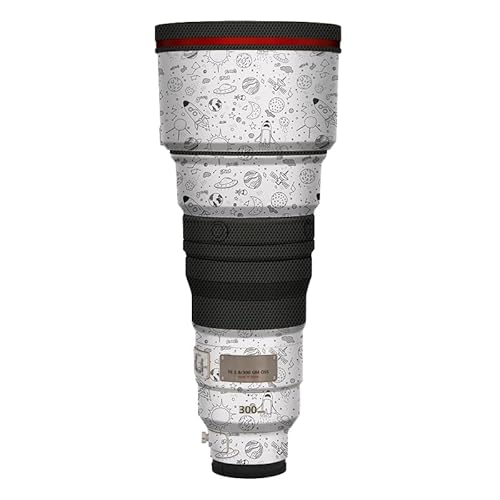 sony fe300gm f2.4単焦点レンズとケース 付属品全てあります